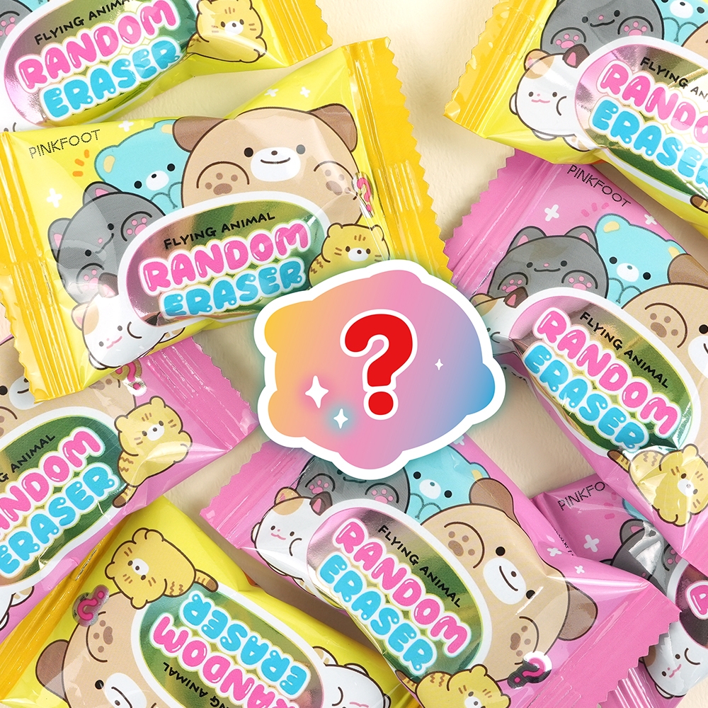 랜덤지우개19탄 인박스(60개세트)