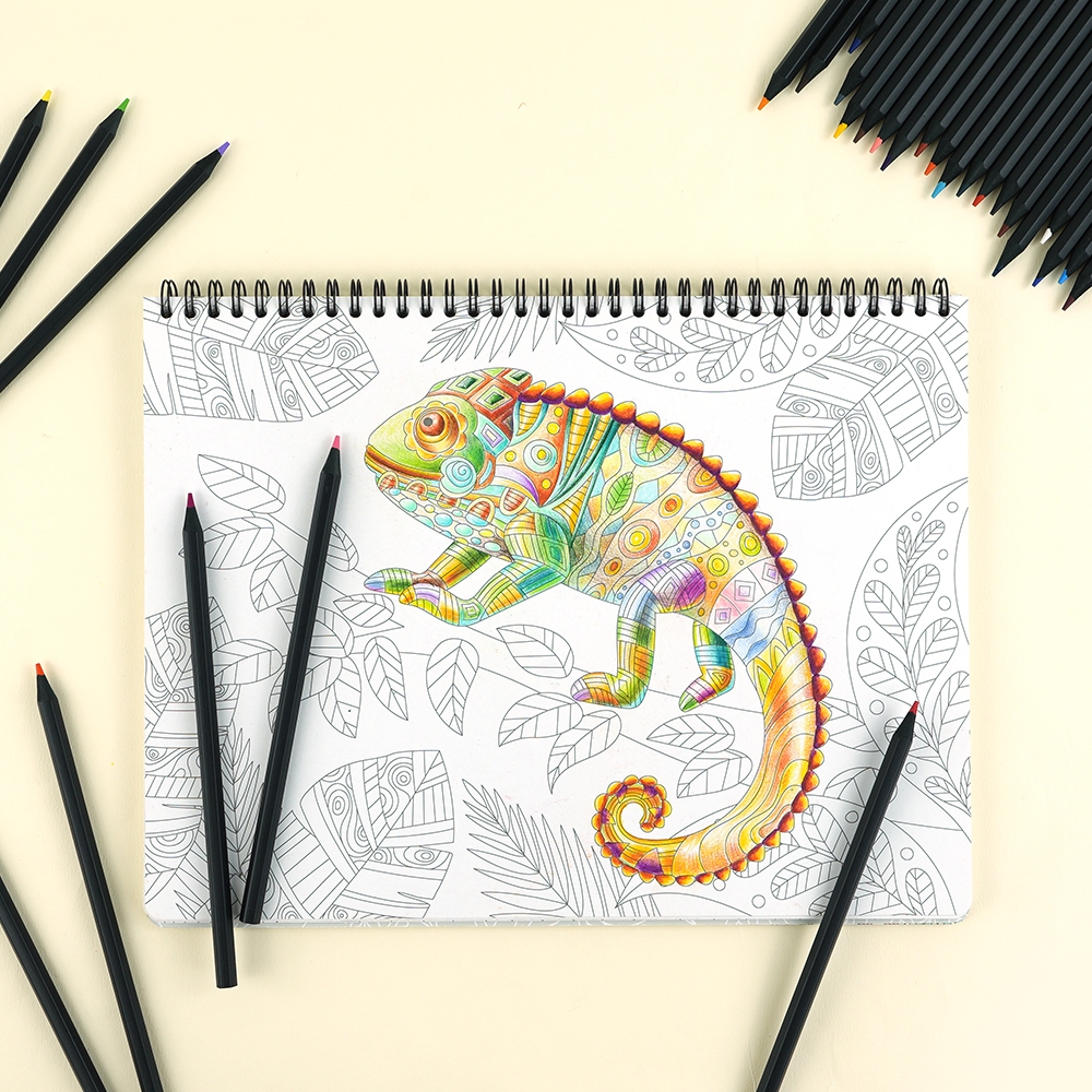 36색블랙우드색연필