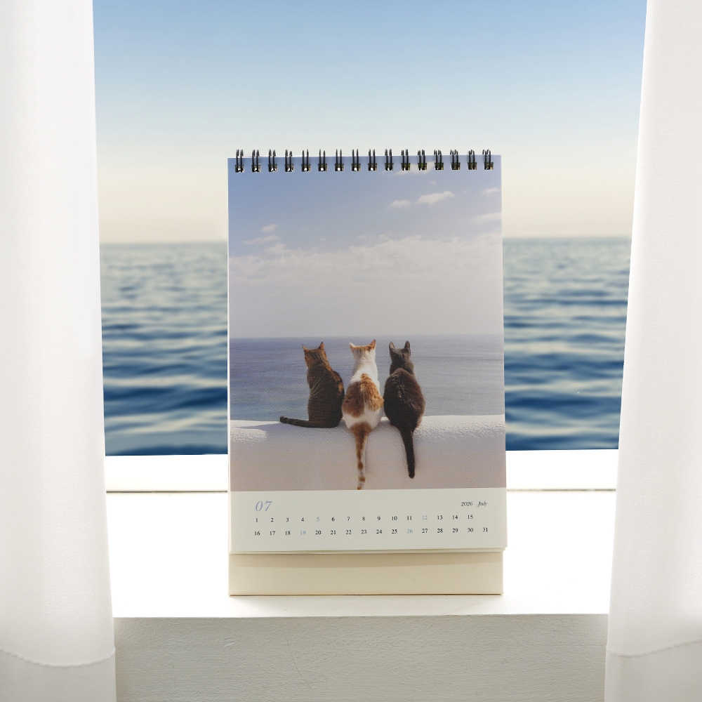 고양이의하루2026탁상달력