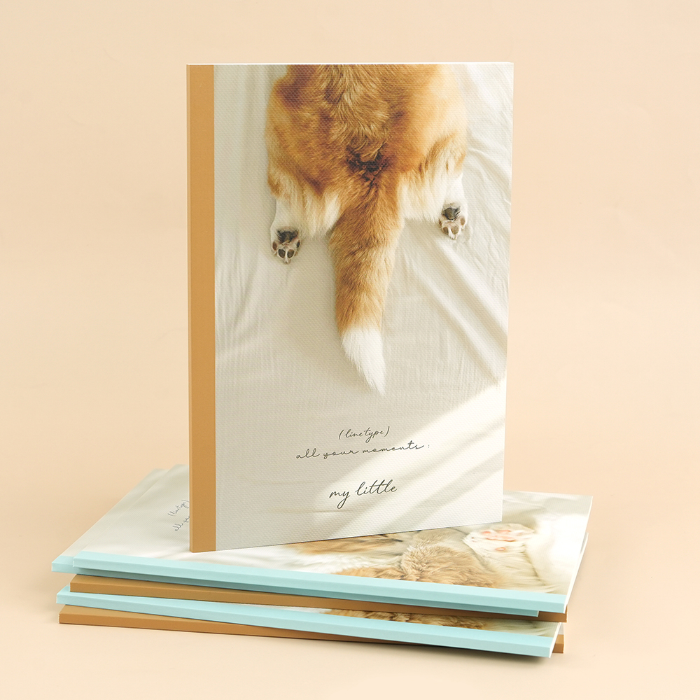 감성A5라인노트