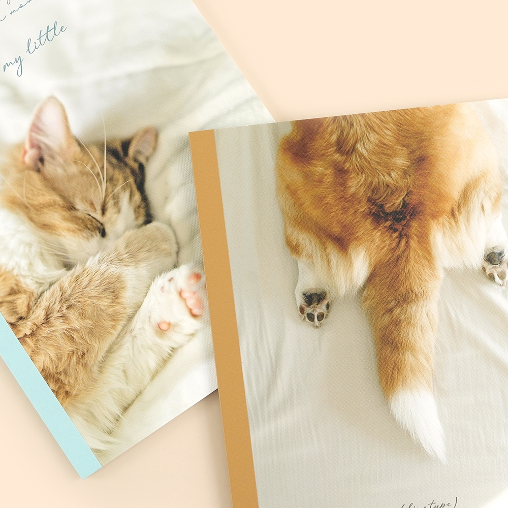 감성A5라인노트