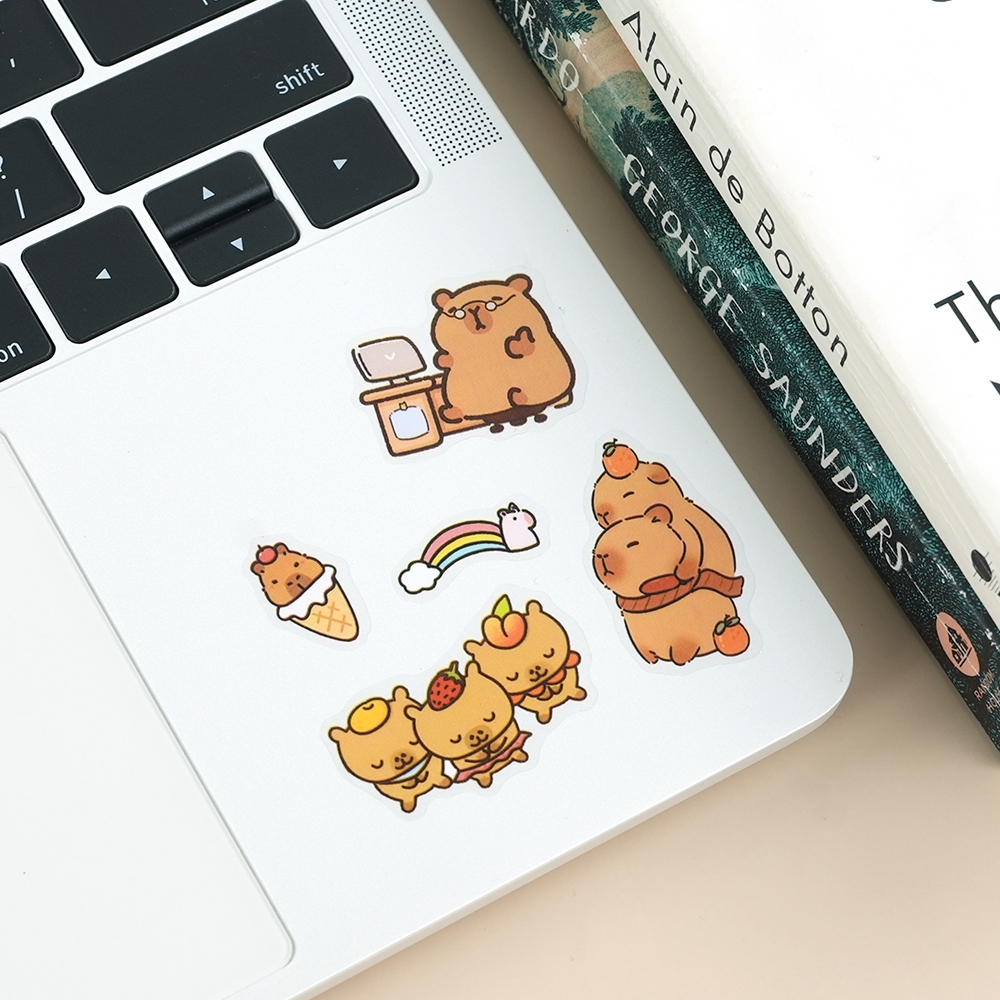 카피바라다꾸세트