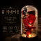 돔카네이션