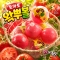 토마토왁뿌볼말랑이